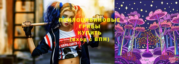 крисы Аркадак