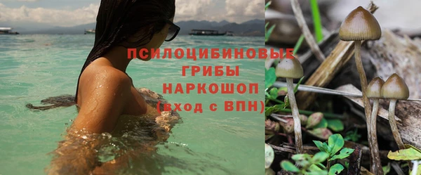 соль курить ск Арсеньев