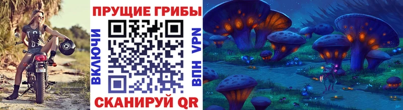 Галлюциногенные грибы Cubensis  Губкинский 